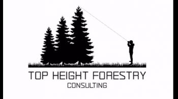 Top height Forestry